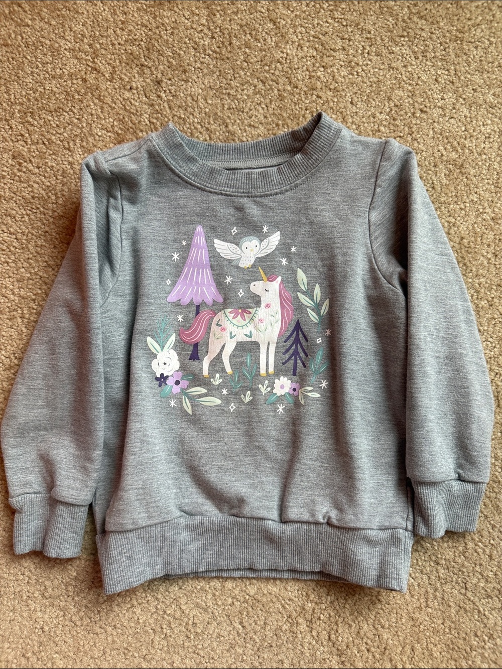Little Sleepies Unicorn Graphic Sweatshirt for Kids - size 18-24m